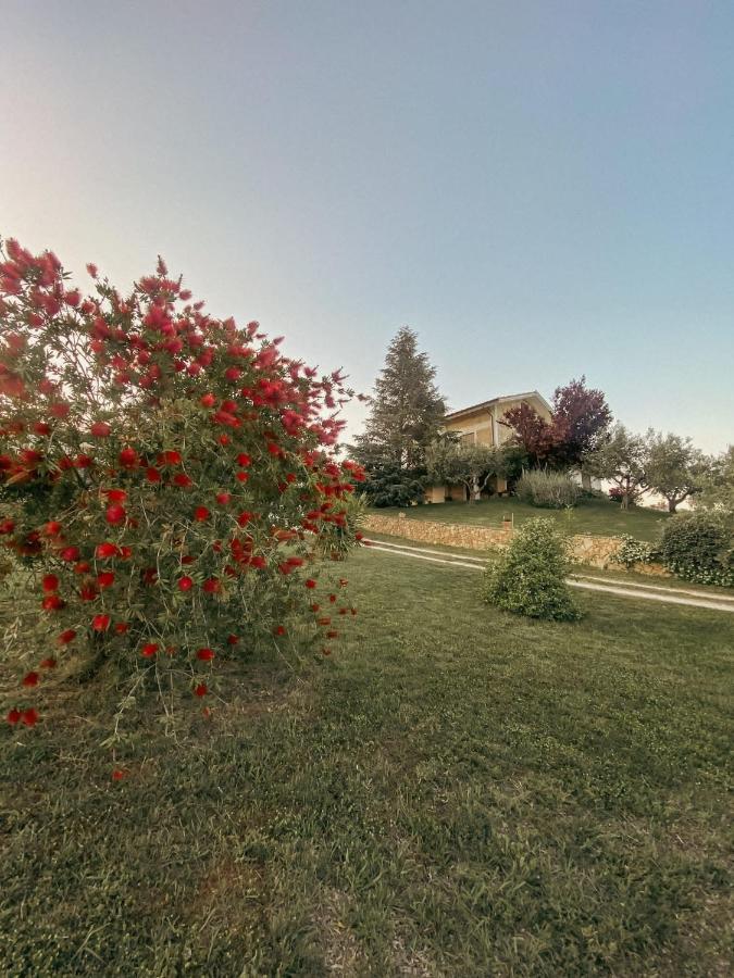 Bed & Breakfast Le Coccinelle Bed and Breakfast Rosciano  Εξωτερικό φωτογραφία