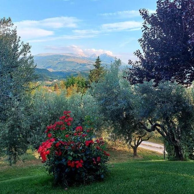 Bed & Breakfast Le Coccinelle Bed and Breakfast Rosciano  Εξωτερικό φωτογραφία