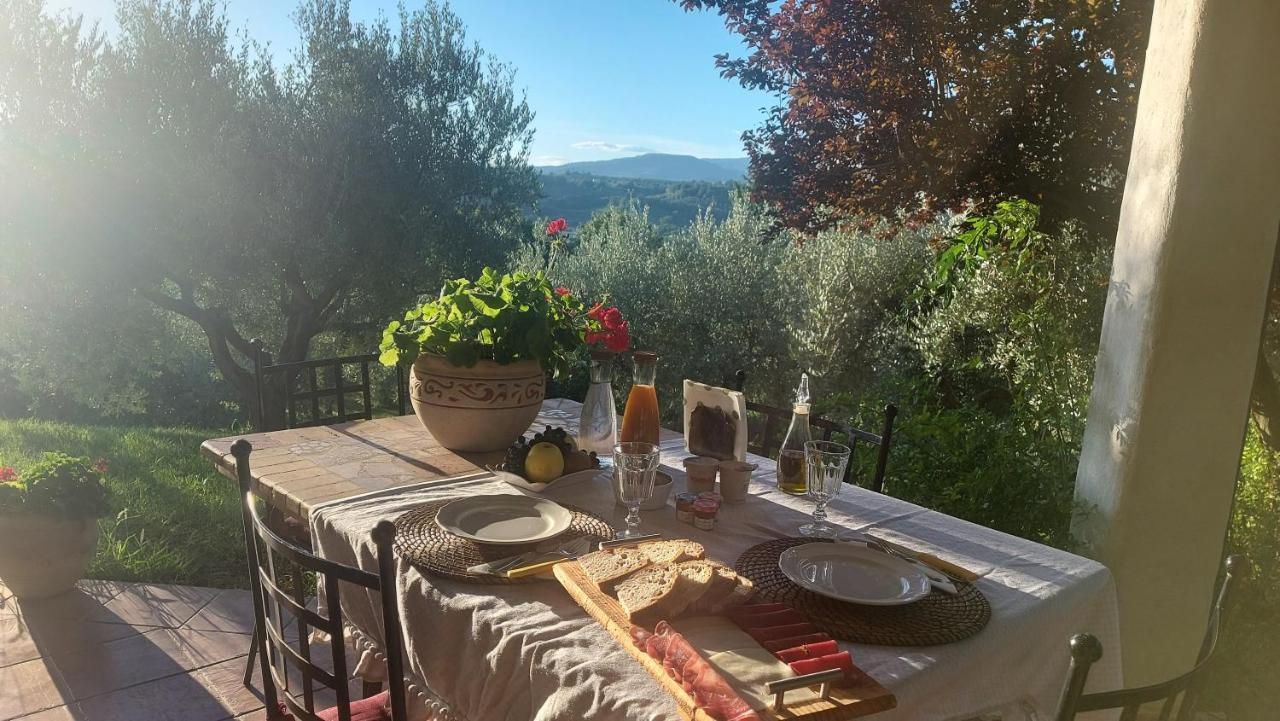 Bed & Breakfast Le Coccinelle Bed and Breakfast Rosciano  Εξωτερικό φωτογραφία
